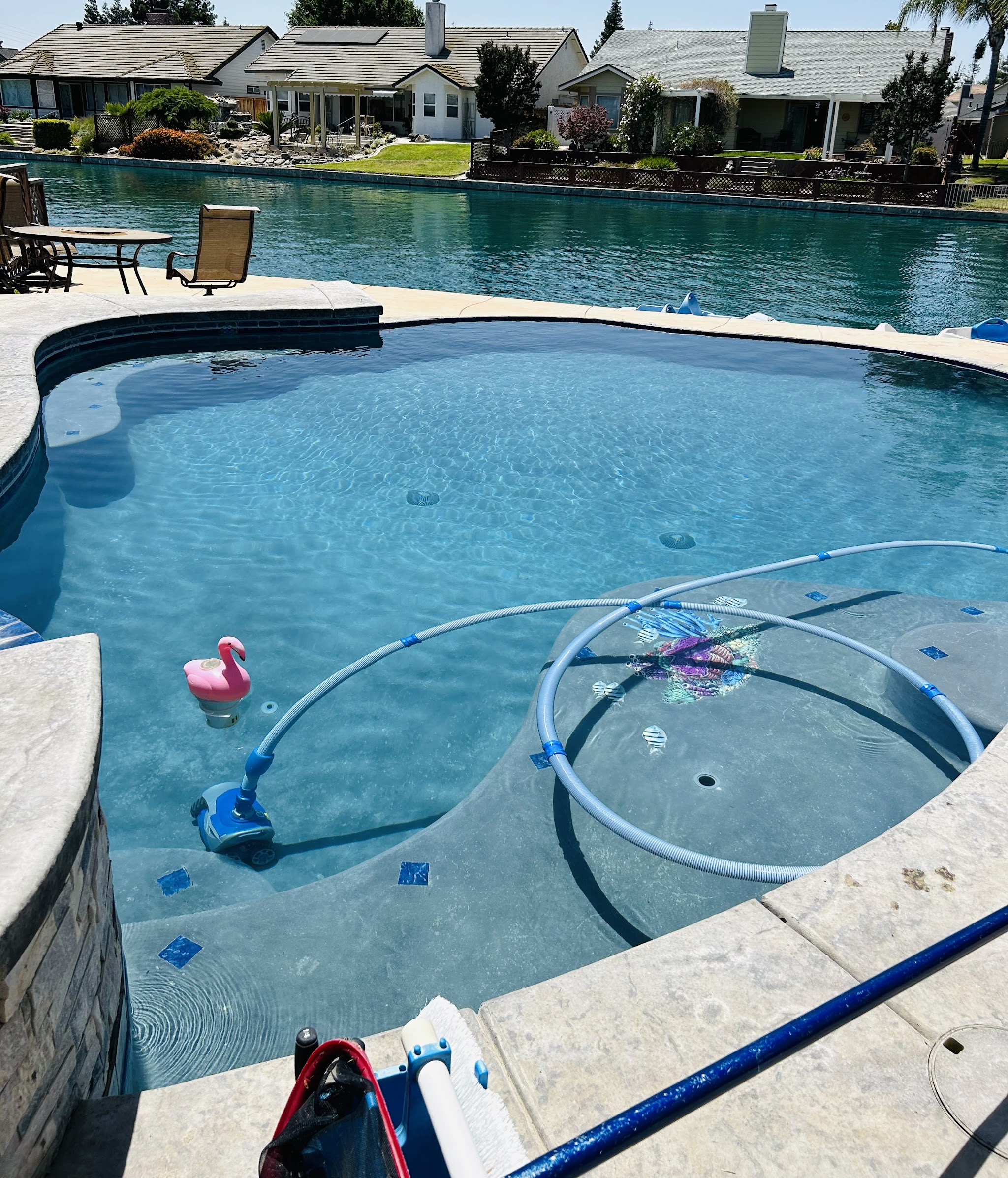 Sparkling clean backyard pool